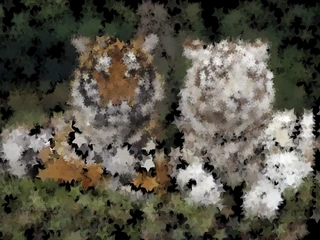 Impressionist - Tiger