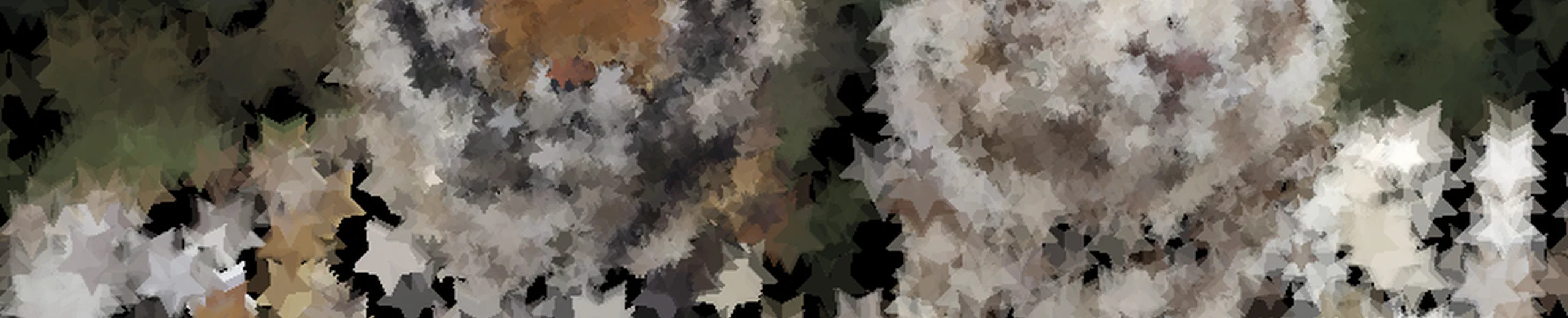 インタラクティブCGの成果報告