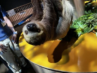 沖縄の観光の様子