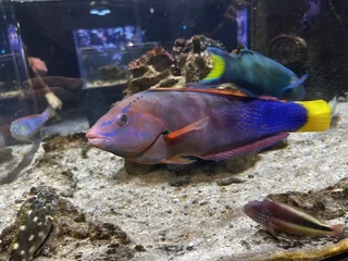 沖縄の観光の様子