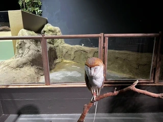 沖縄の観光の様子