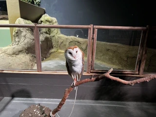 沖縄の観光の様子